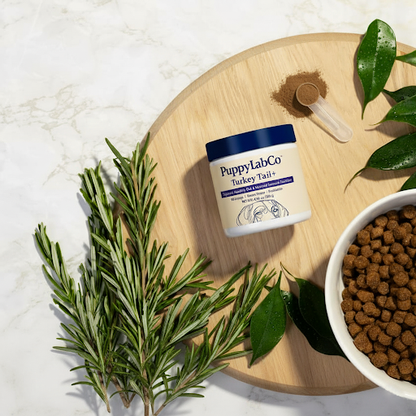 TurkeyTail+ Probiotics™ Formula